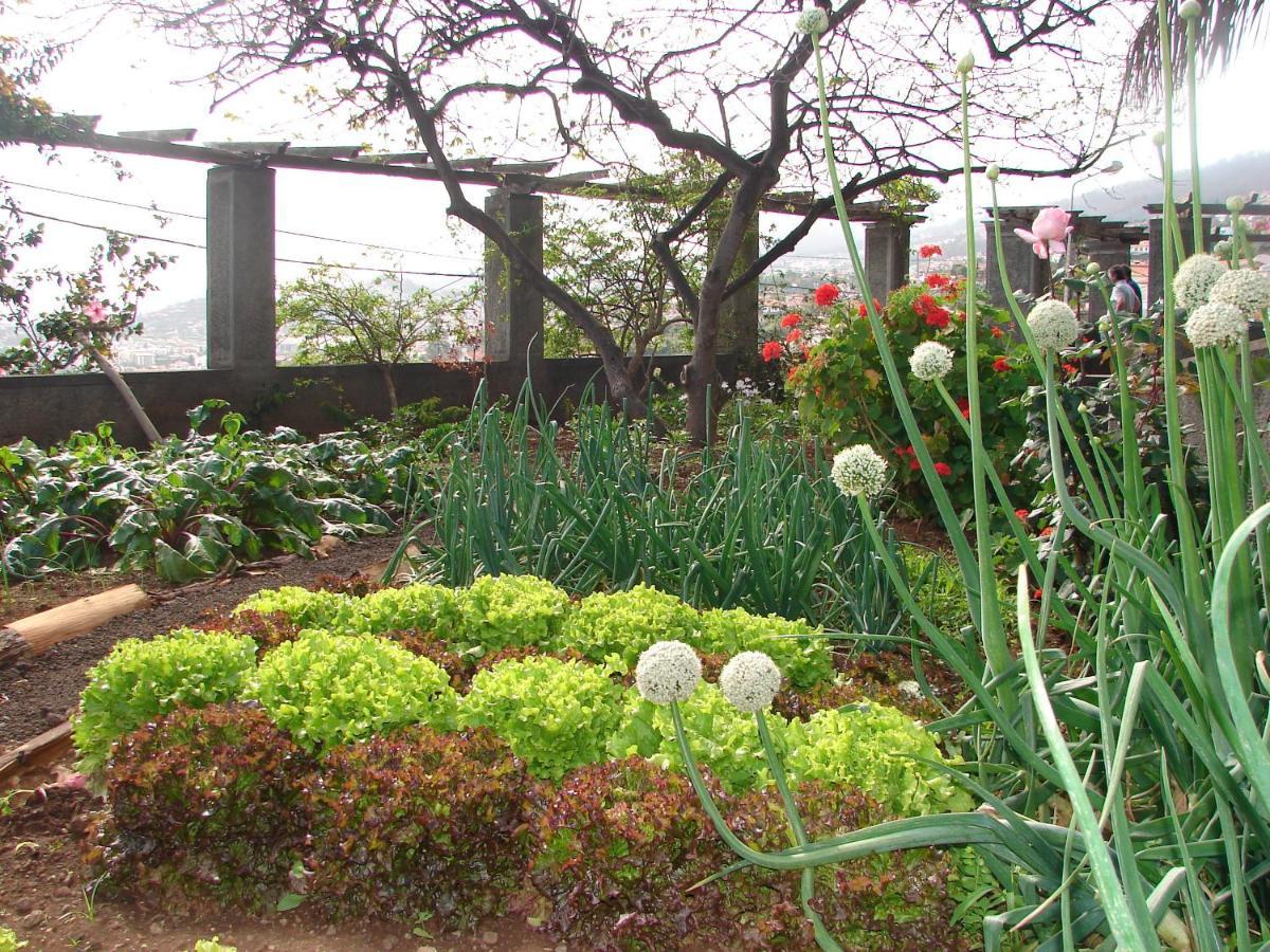Quinta do Bom Sucesso Funchal (Madeira) Exterior foto