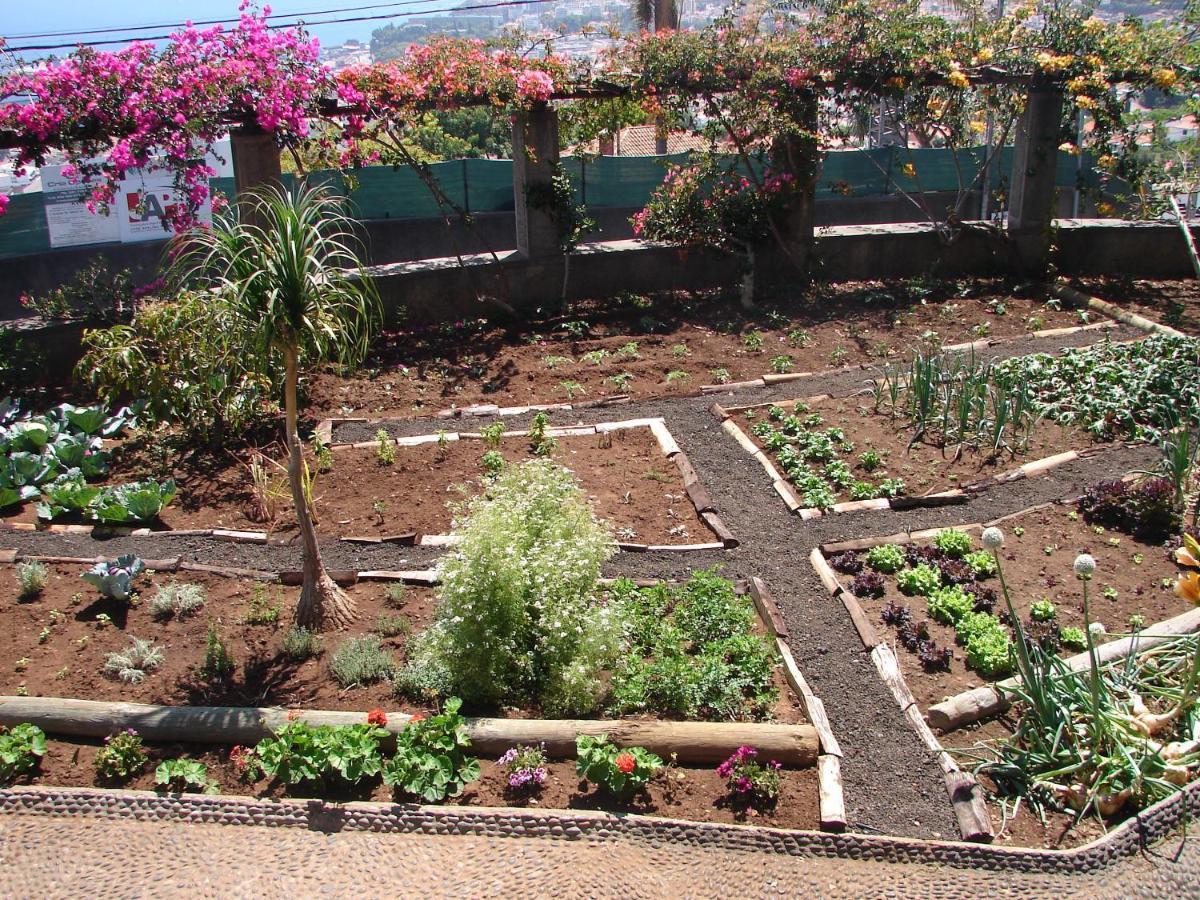 Quinta do Bom Sucesso Funchal (Madeira) Exterior foto
