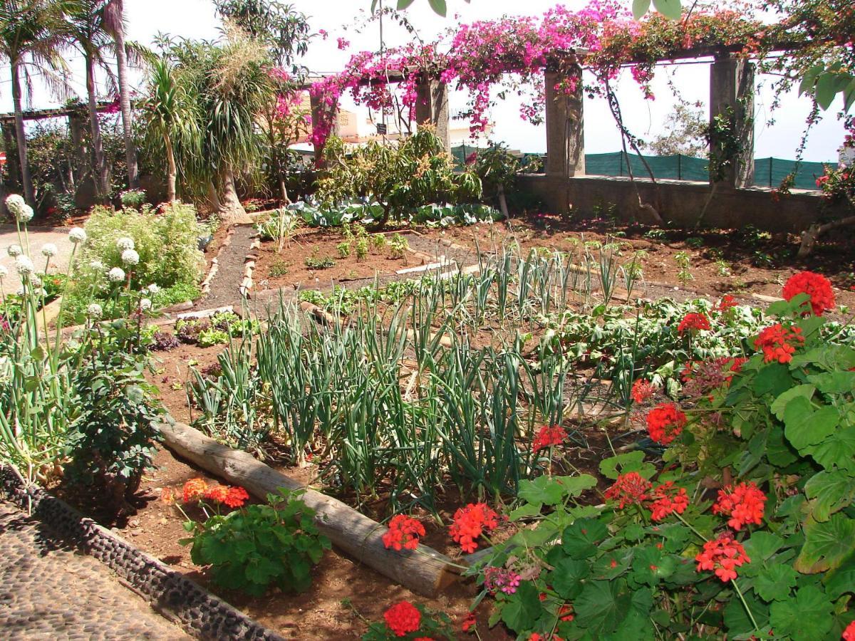 Quinta do Bom Sucesso Funchal (Madeira) Exterior foto