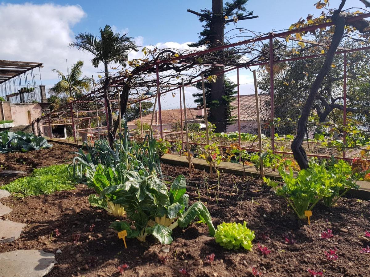 Quinta do Bom Sucesso Funchal (Madeira) Exterior foto