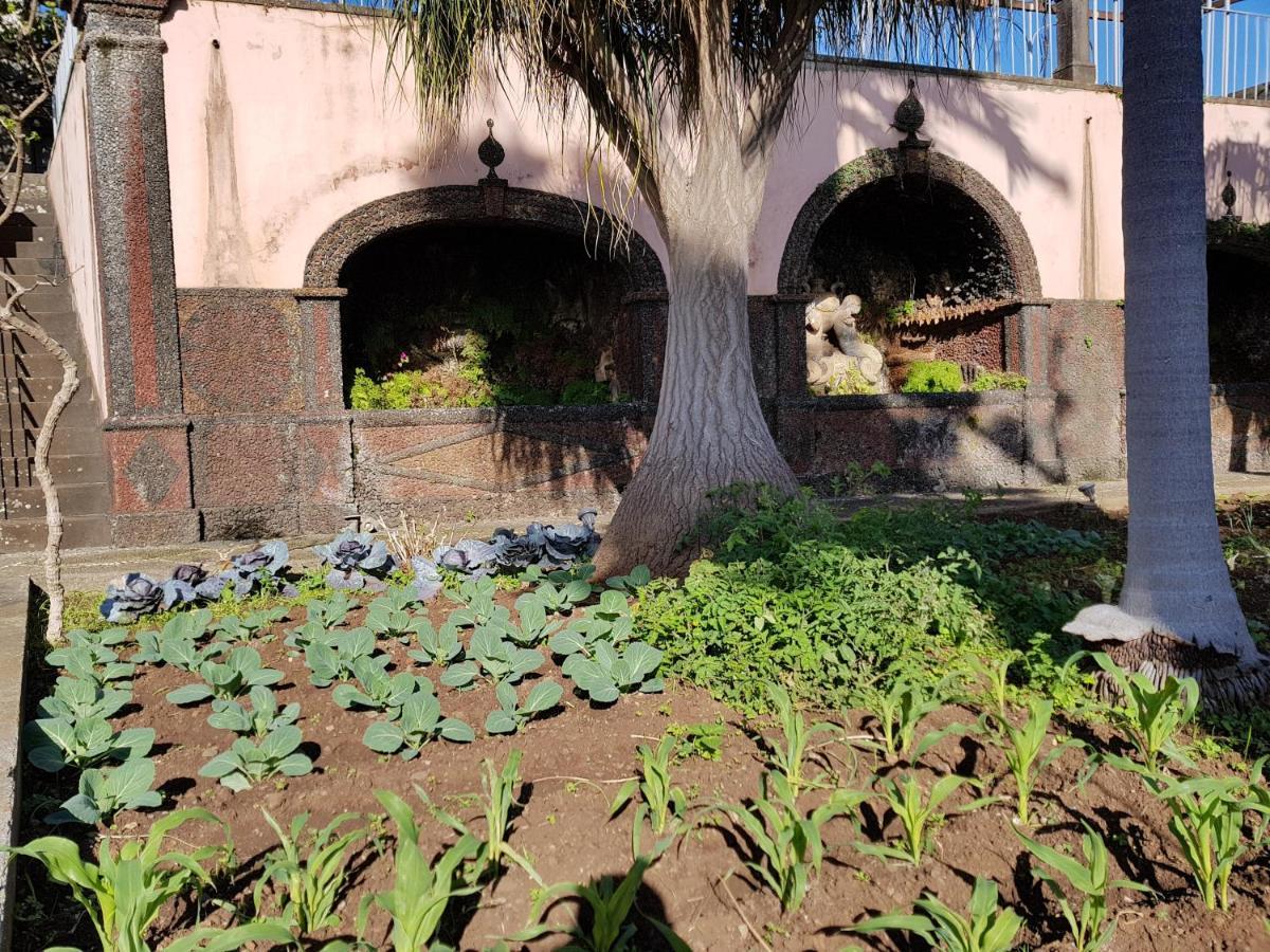 Quinta do Bom Sucesso Funchal (Madeira) Exterior foto