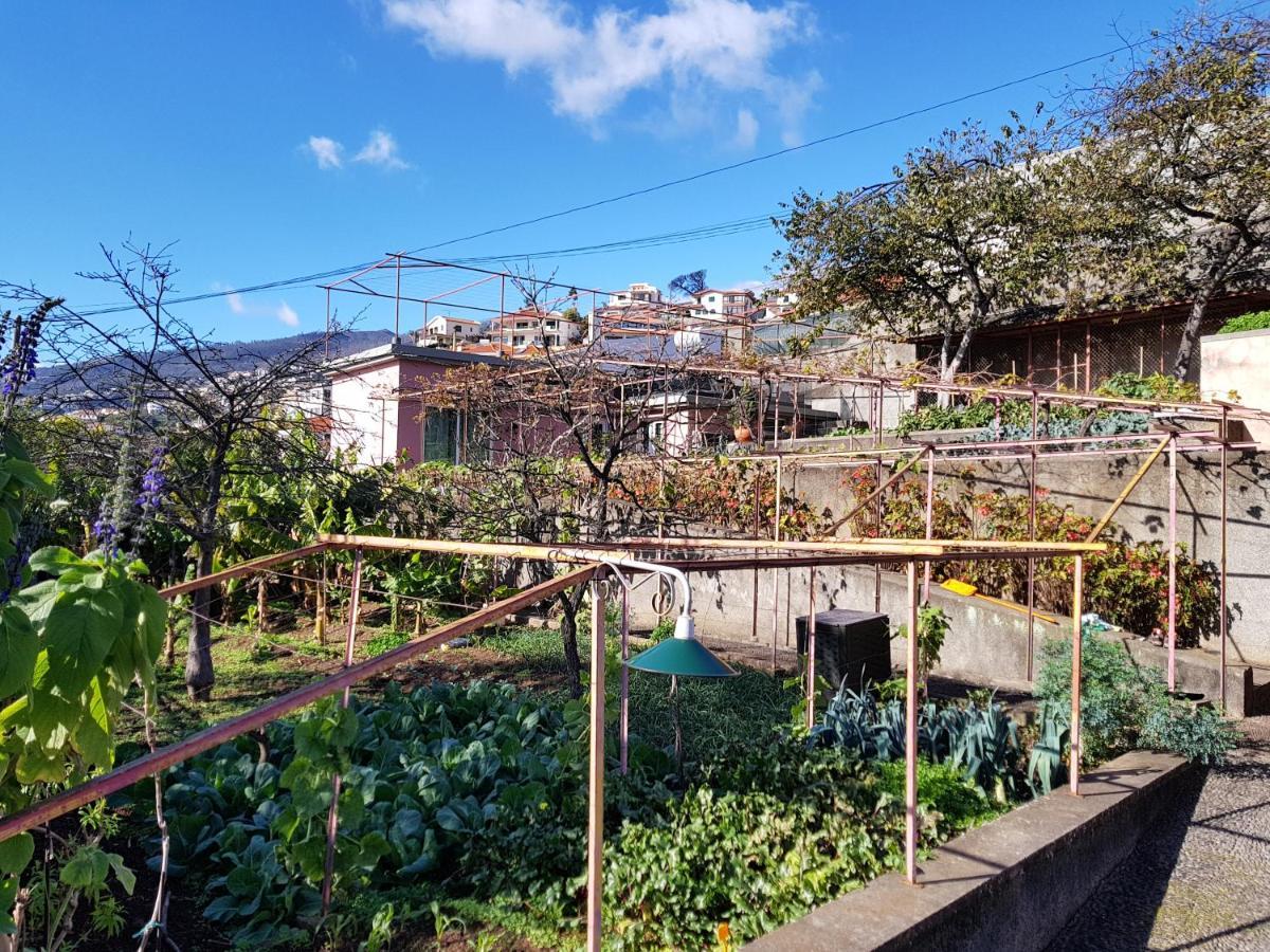 Quinta do Bom Sucesso Funchal (Madeira) Exterior foto